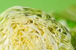Cabbage