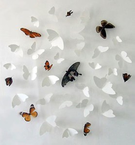Justine Smith Butterflies