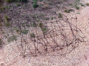 Wire fence wall art